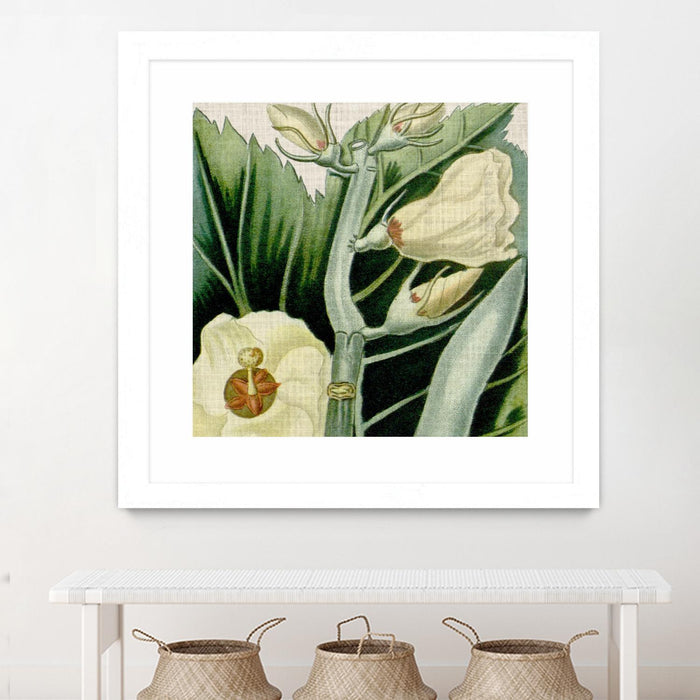 \"Cropped Turpin Tropicals Iii\" Matted and Framed White 30x30 Wall Art