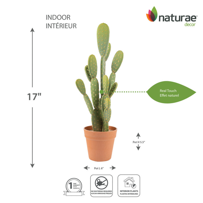 Artificial 21\" Bunny Ears Cactus In Terracotta Pot