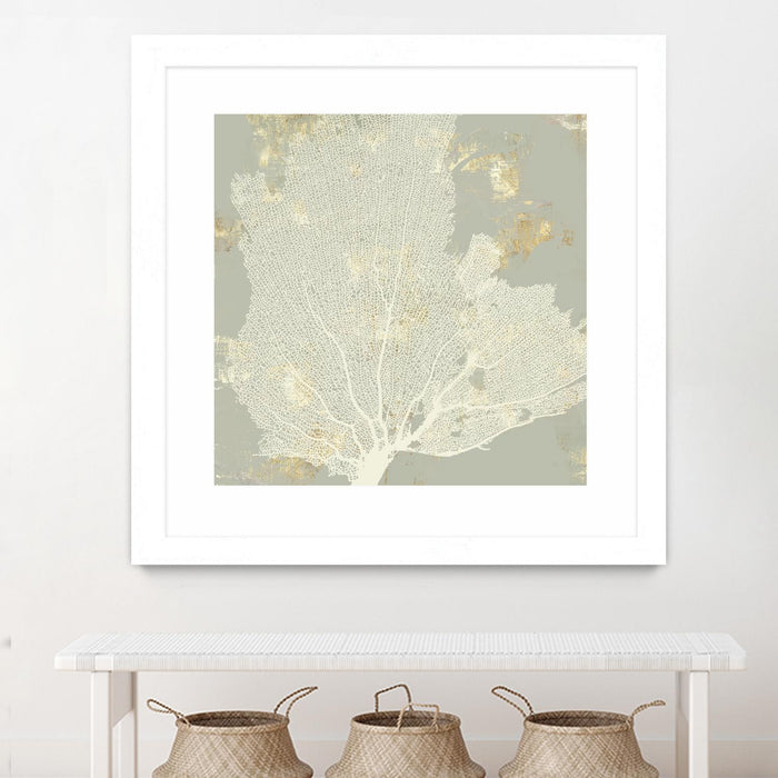 \"Sea Coral I\" Matted and Framed White 30x30 Wall Art