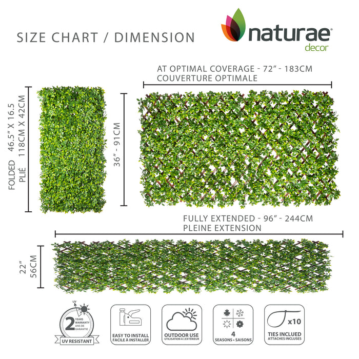 PVC Expandable Trellis 36\"x 72\" Schefflera Leaves