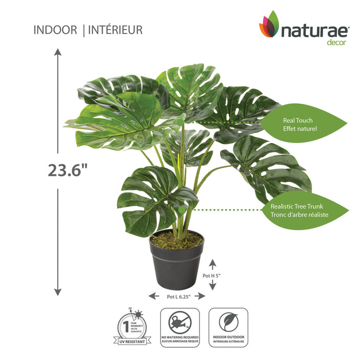 Artificial 23\" Monstera In Black Pot