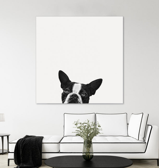 \"Loyalty\" Giant Art 72x72 Wall Art