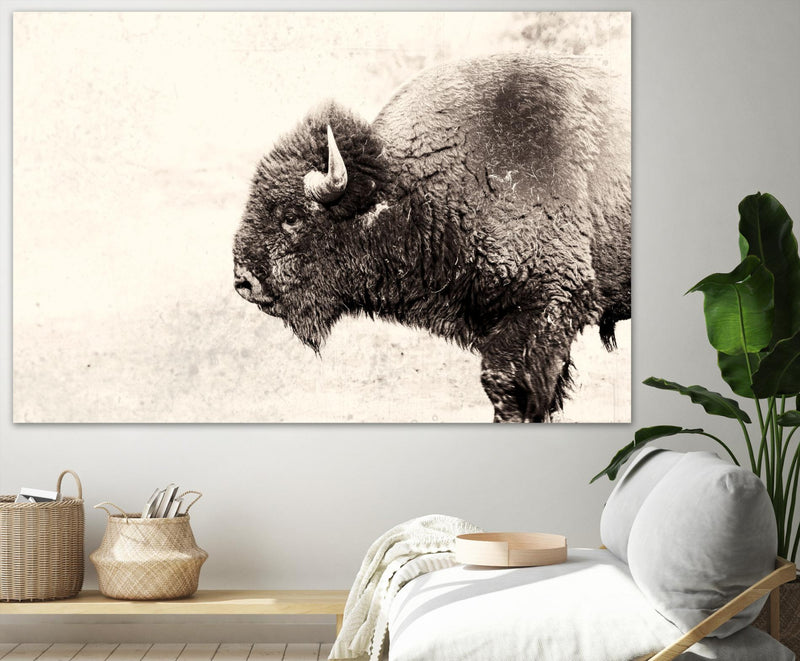 \"Buffalo\" Giant Art 84x54 Wall Art