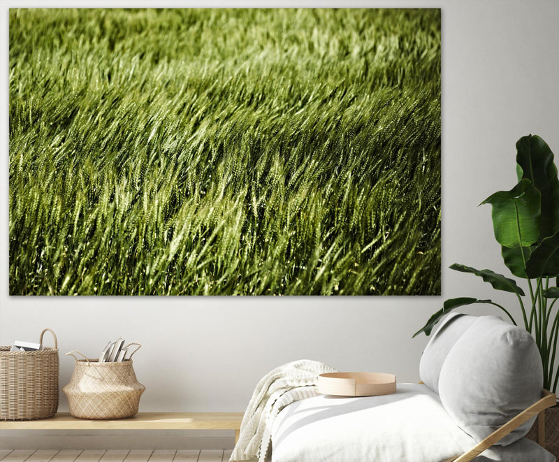 \"Grass Ii\" Giant Art 72x48 Wall Art