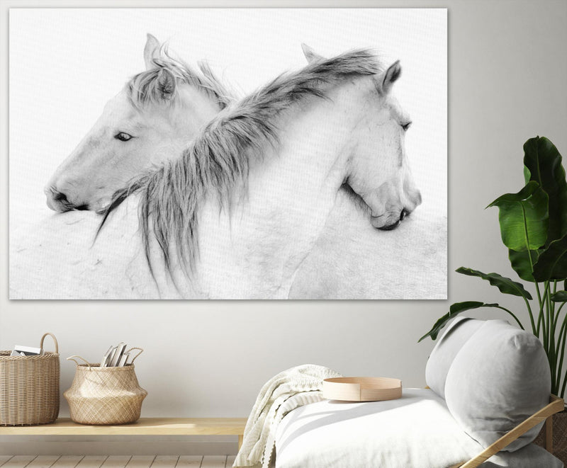\"Stas - Horses\" Giant Art 84x54 Wall Art