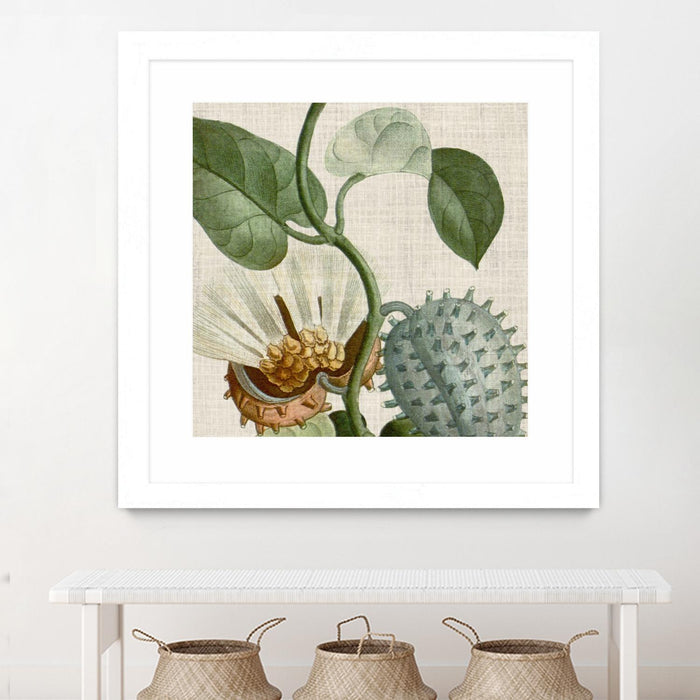 \"Cropped Turpin Tropicals Ii\" Matted and Framed White 36x36 Wall Art