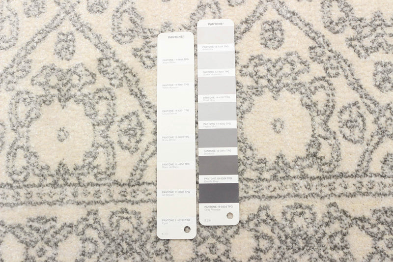 Elita Ivory Area Rug - 2'7\" x 8'0\"