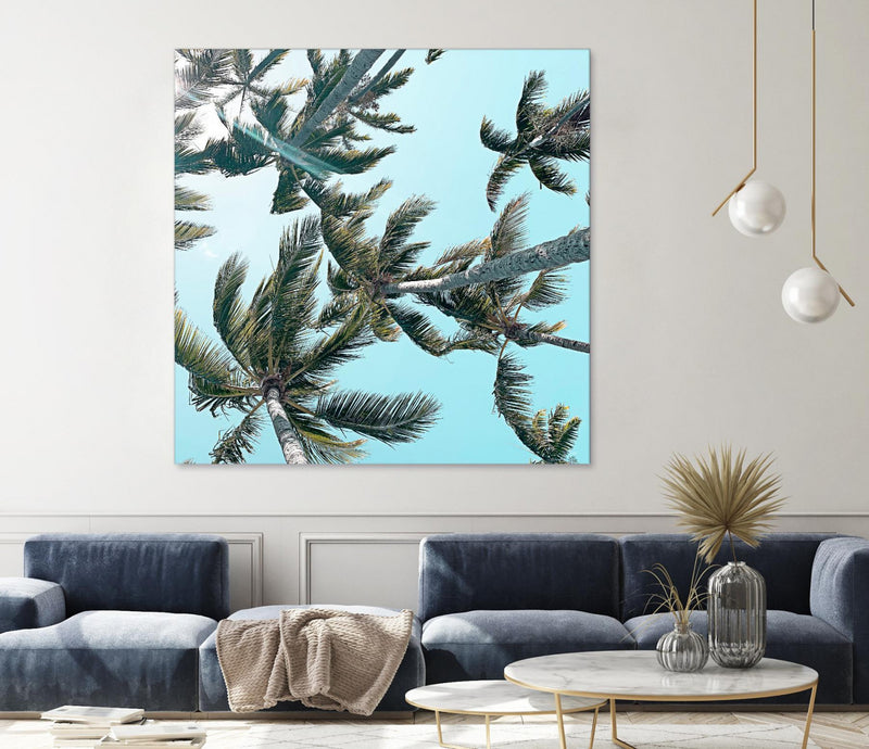 \"Palm 03\" Giant Art 54x54 Wall Art