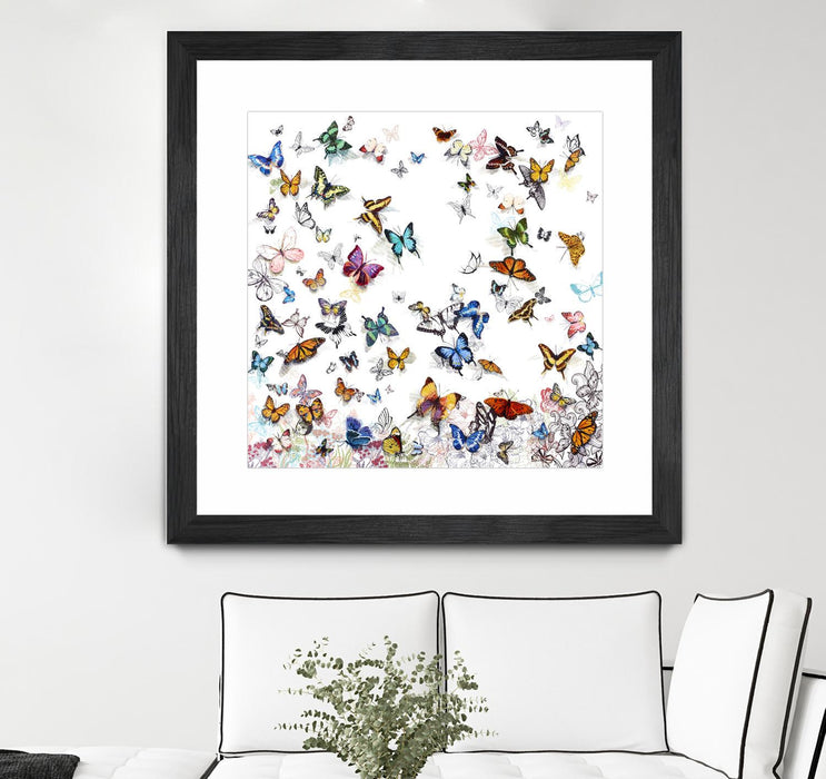 \"Papillon\" Matted and Framed Black 30x30 Wall Art