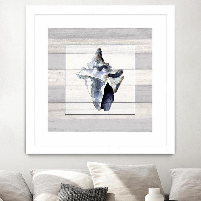 \"Muted Blue Sea Conch On Wood\" Matted and Framed White 36x36 Wall Art