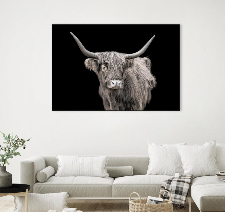 \"A New Kid In Town\" Canvas Framed Black 36x24 Wall Art