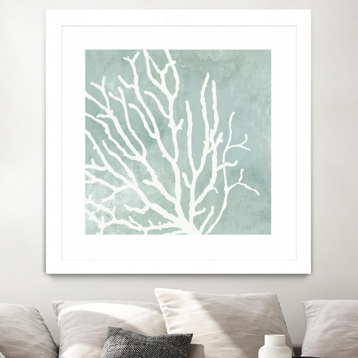 \"Sea Crown I\" Matted and Framed White 36x36 Wall Art