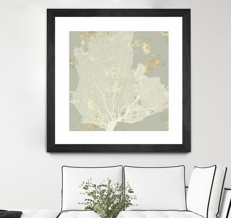 \"Sea Coral I\" Matted and Framed Black 36x36 Wall Art