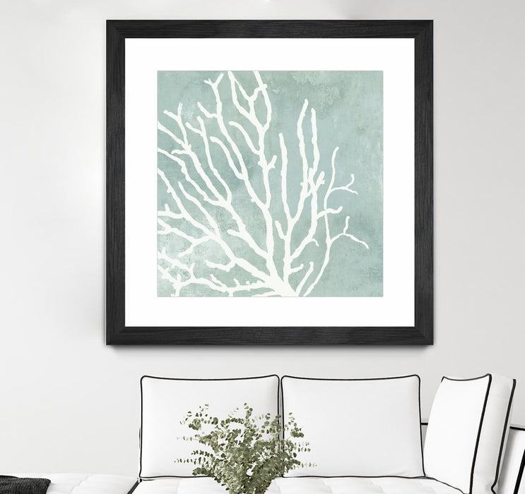 \"Sea Crown I\" Matted and Framed Black 36x36 Wall Art