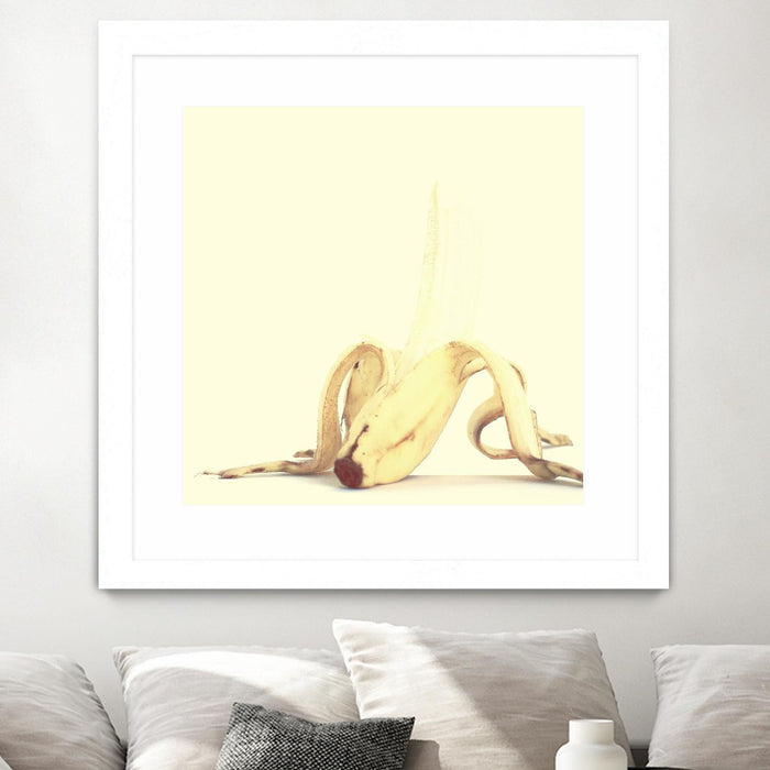 \"Banada Honey Puff\" Matted and Framed White 30x30 Wall Art