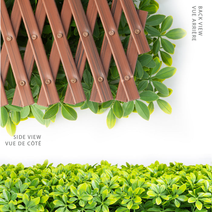 PVC Expandable Trellis 36\"x 72\" Schefflera Leaves