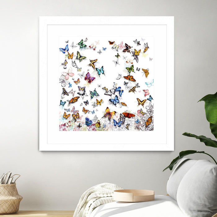 \"Papillon\" Matted and Framed White 36x36 Wall Art