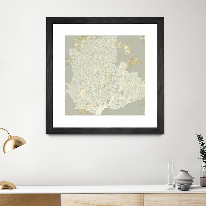 \"Sea Coral I\" Matted and Framed Black 36x36 Wall Art