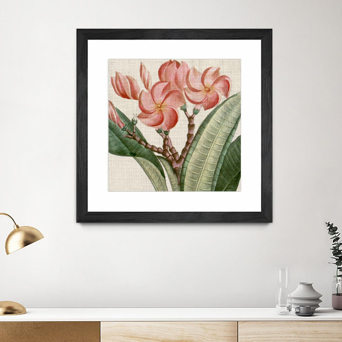 \"Cropped Turpin Tropicals Vii\" Matted and Framed Black 30x30 Wall Art