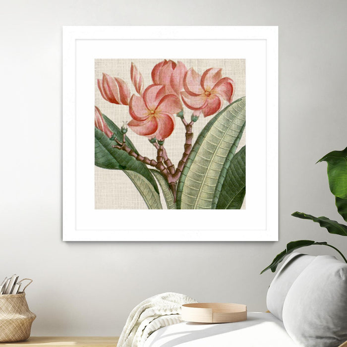 \"Cropped Turpin Tropicals Vii\" Matted and Framed White 30x30 Wall Art
