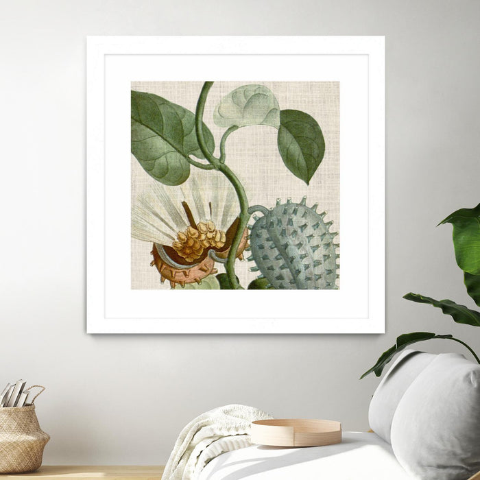 \"Cropped Turpin Tropicals Ii\" Matted and Framed White 30x30 Wall Art