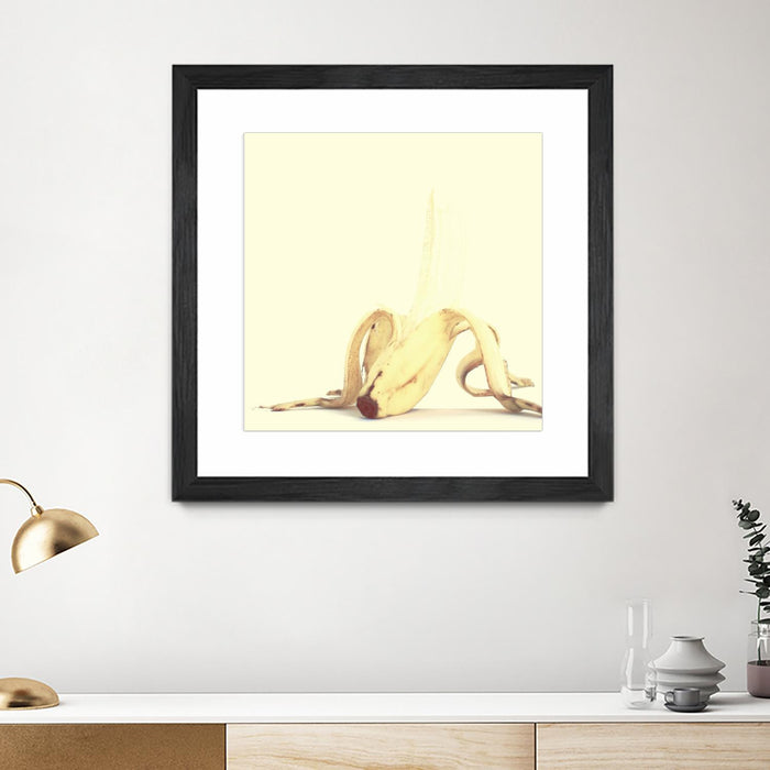 \"Banada Honey Puff\" Matted and Framed Black 36x36 Wall Art