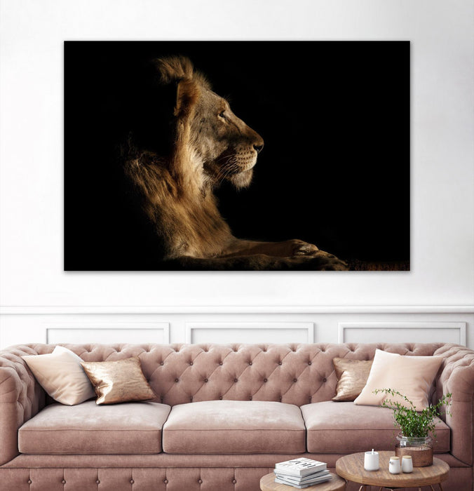 \"Royal Meeting In The Night\" Giant Art 72x48 Wall Art
