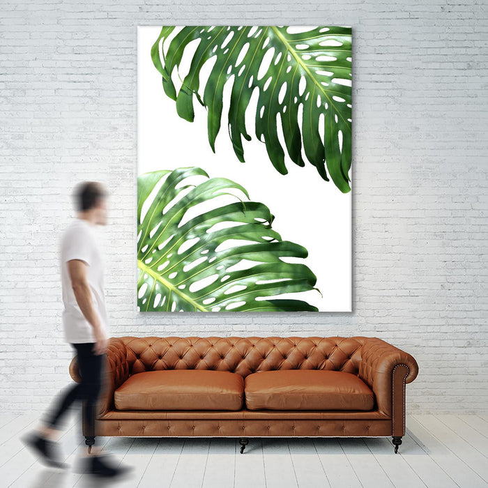 \"Double Philodendron (color)\" Giant Art 72x54 Wall Art