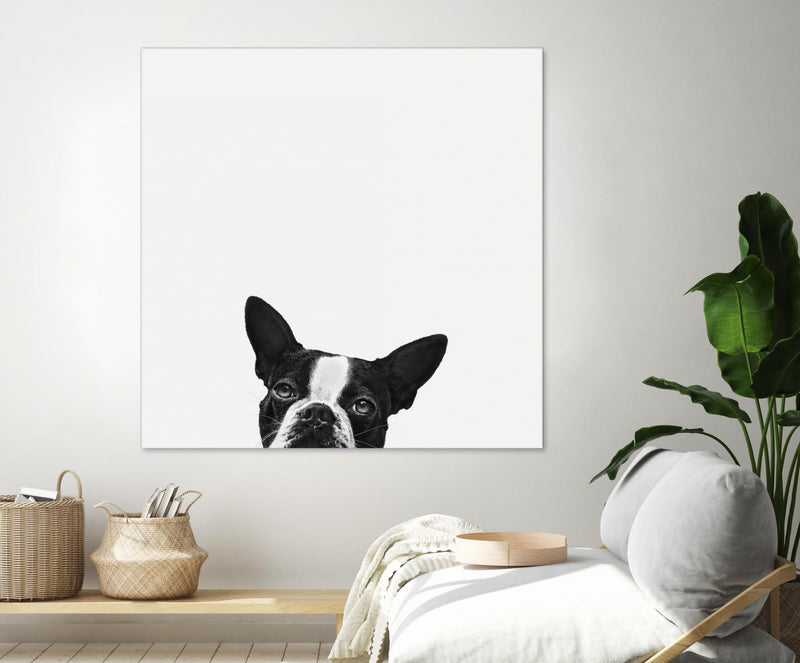 \"Loyalty\" Giant Art 54x54 Wall Art