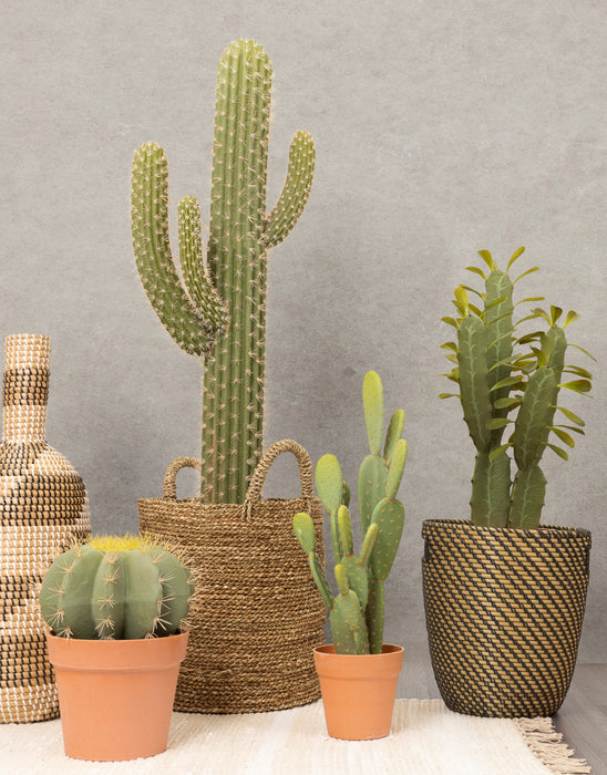 Artificial 21\" Bunny Ears Cactus In Terracotta Pot