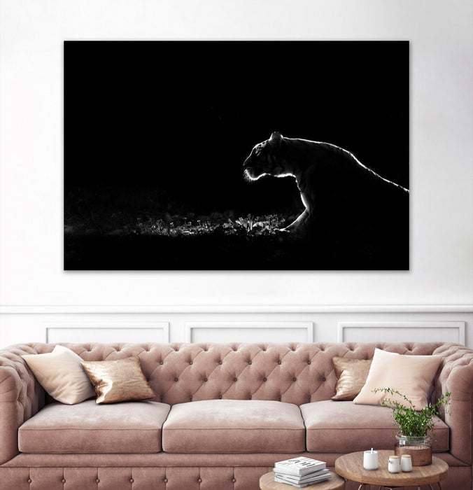 \"Amot - Untitled\" Giant Art 72x48 Wall Art