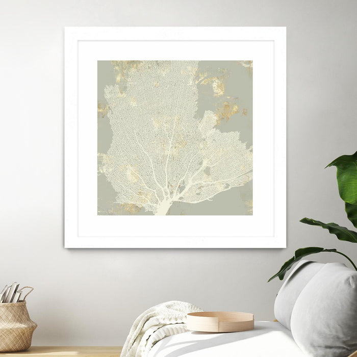 \"Sea Coral I\" Matted and Framed White 36x36 Wall Art