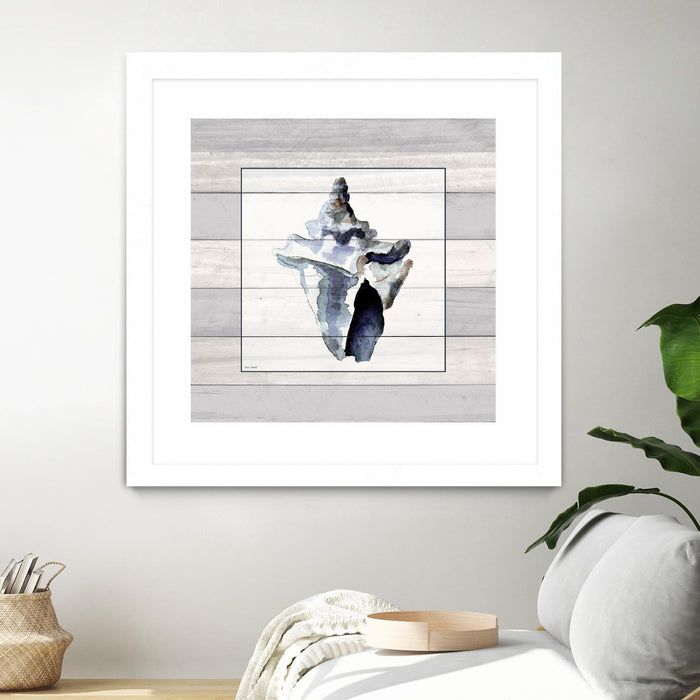 \"Muted Blue Sea Conch On Wood\" Matted and Framed White 36x36 Wall Art