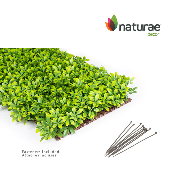 PVC Expandable Trellis 36\"x 72\" Schefflera Leaves