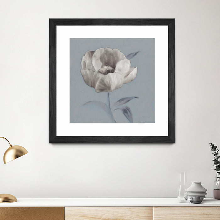 \"Floral Symposium I\" Matted and Framed Black 36x36 Wall Art