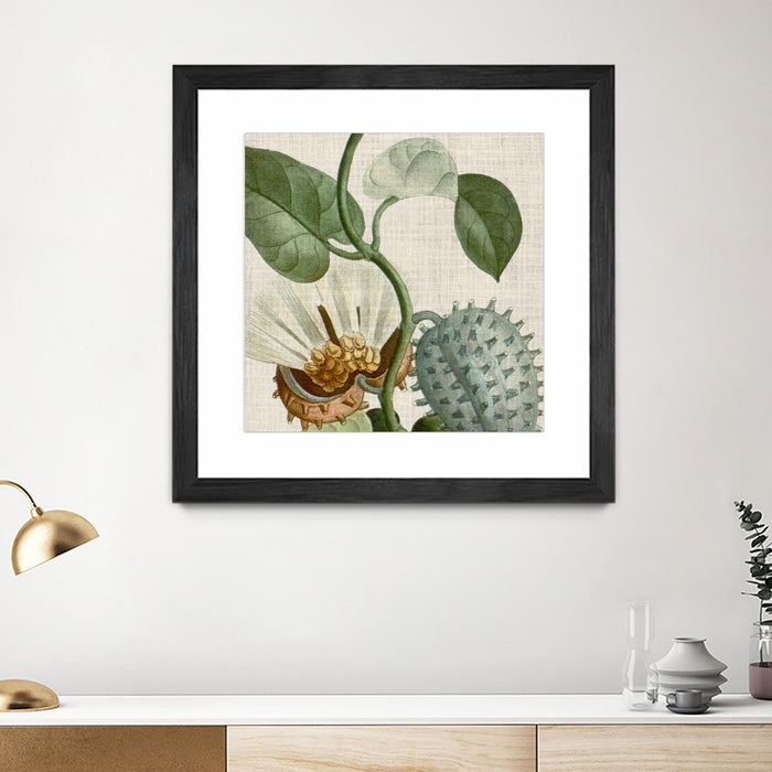 \"Cropped Turpin Tropicals Ii\" Matted and Framed Black 30x30 Wall Art