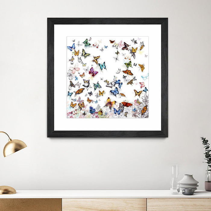 \"Papillon\" Matted and Framed Black 30x30 Wall Art