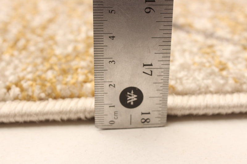 Grande Ivory/Gold 3'11\" X 5'7\" Area Rug