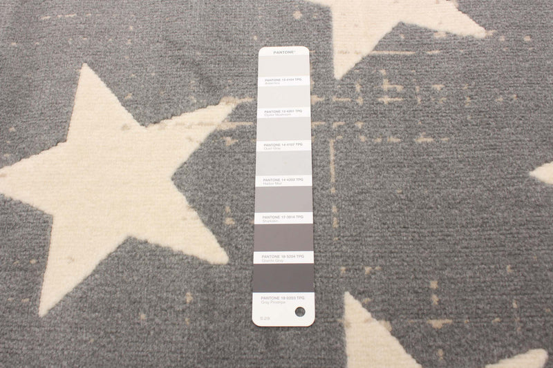 Ira Grey 2'8\" x 4'11\" Area Rug