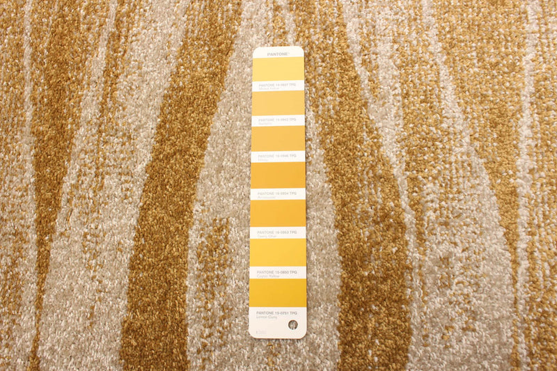 Arusha Ivory / Gold 5'3\" x 7'3\" Area Rug