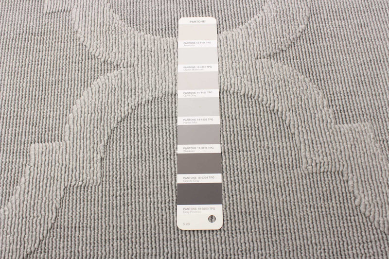  Sophie Grey Area Rug - 5'3\" x 7'7\"