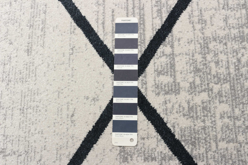 Damali Ivory/Blue Machine Washable Area Rug - 6'0\" x 9'0\"