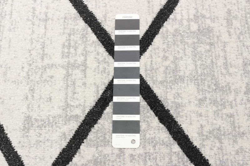 Damali Ivory/Black Machine Washable Area Rug - 6'0\" x 9'0\"