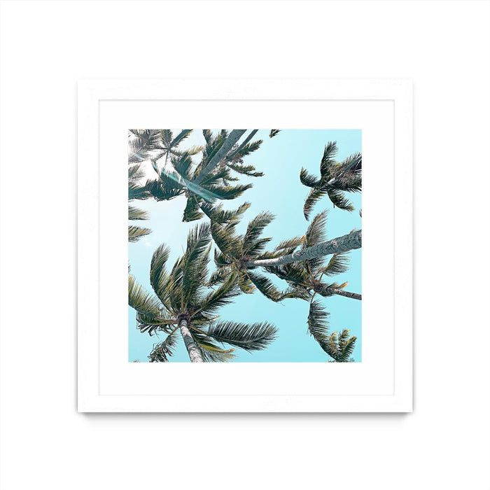 \"Palm 03\" Matted and Framed White 30x30 Wall Art