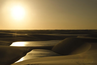 "Golden Sunset" Giant Art 72x48 Wall Art