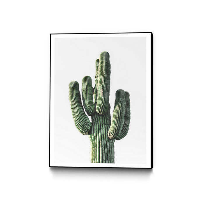 \"Le Cactus\" Canvas Framed Black 18x24 Wall Art