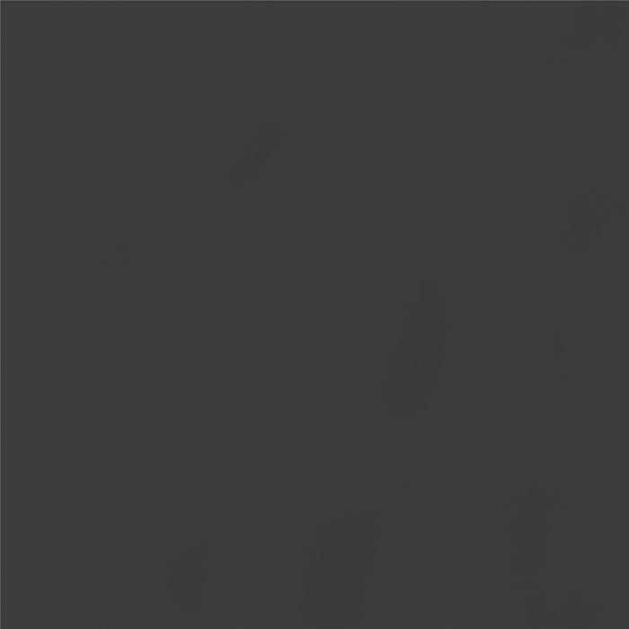 Dorel Home Atwater Living Alix Twin Metal Loft Bed with Desk - Black