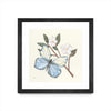 \"In The Garden Butterfly\" Matted and Framed Black 30x30 Wall Art