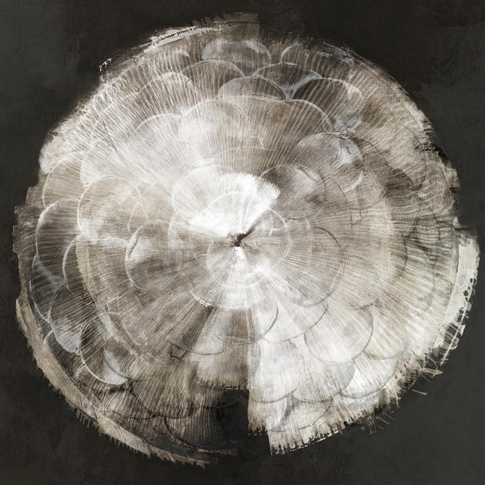 \"Touch Of Darkened Silver\" Giant Art 54x54 Wall Art