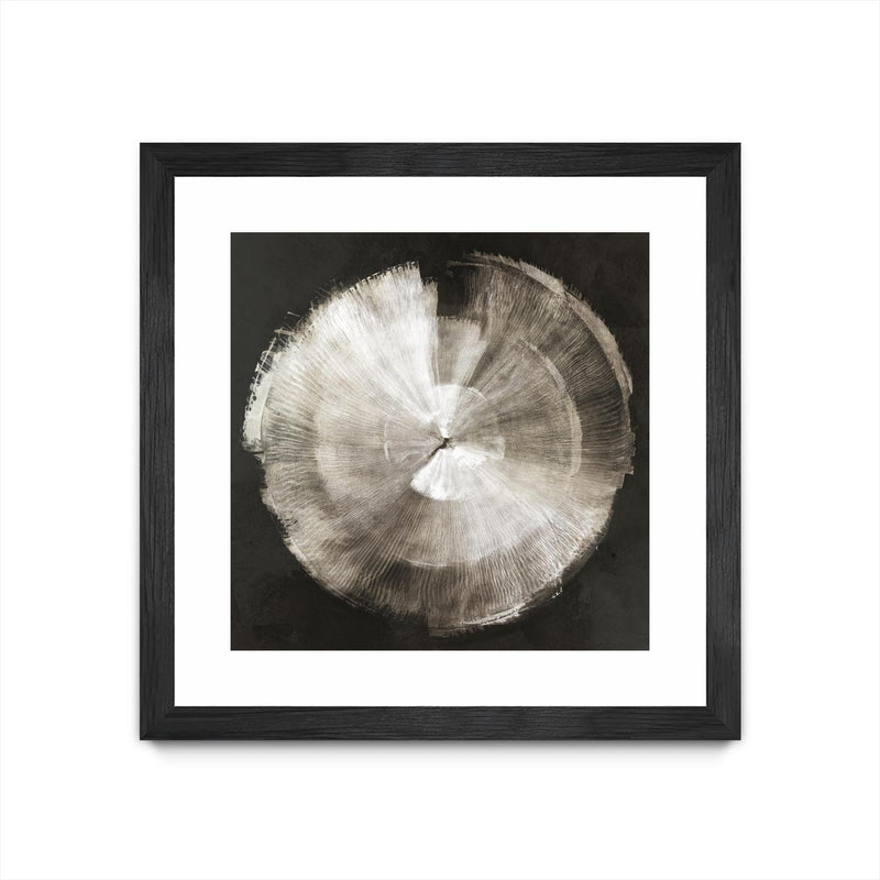 "Touch Of Silver" Matted and Framed Black 30x30 Wall Art